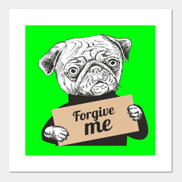 Pug Dog holding a sign forgive me